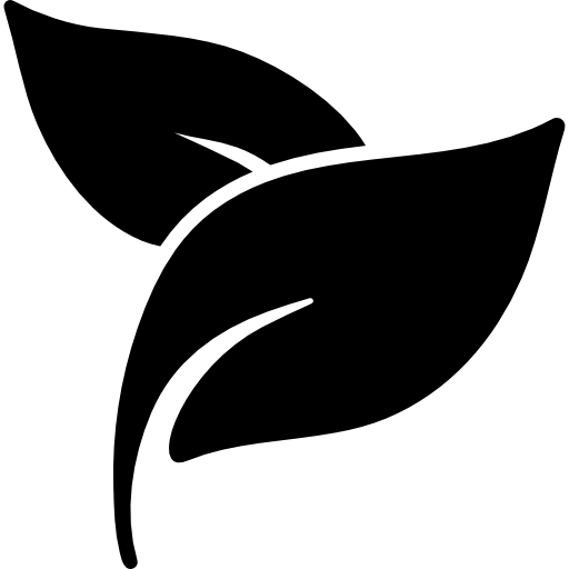 Icon 1